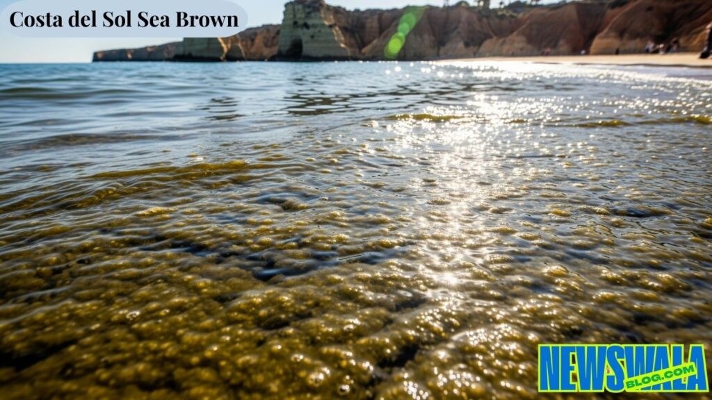 Costa del Sol Sea Brown