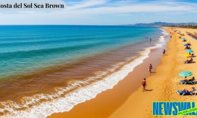 Costa del Sol Sea Brown