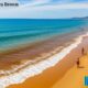 Costa del Sol Sea Brown