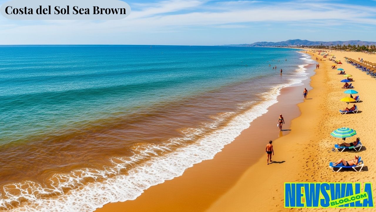 Costa del Sol Sea Brown