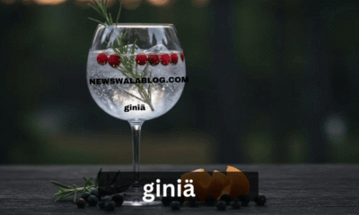 giniä