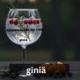 giniä